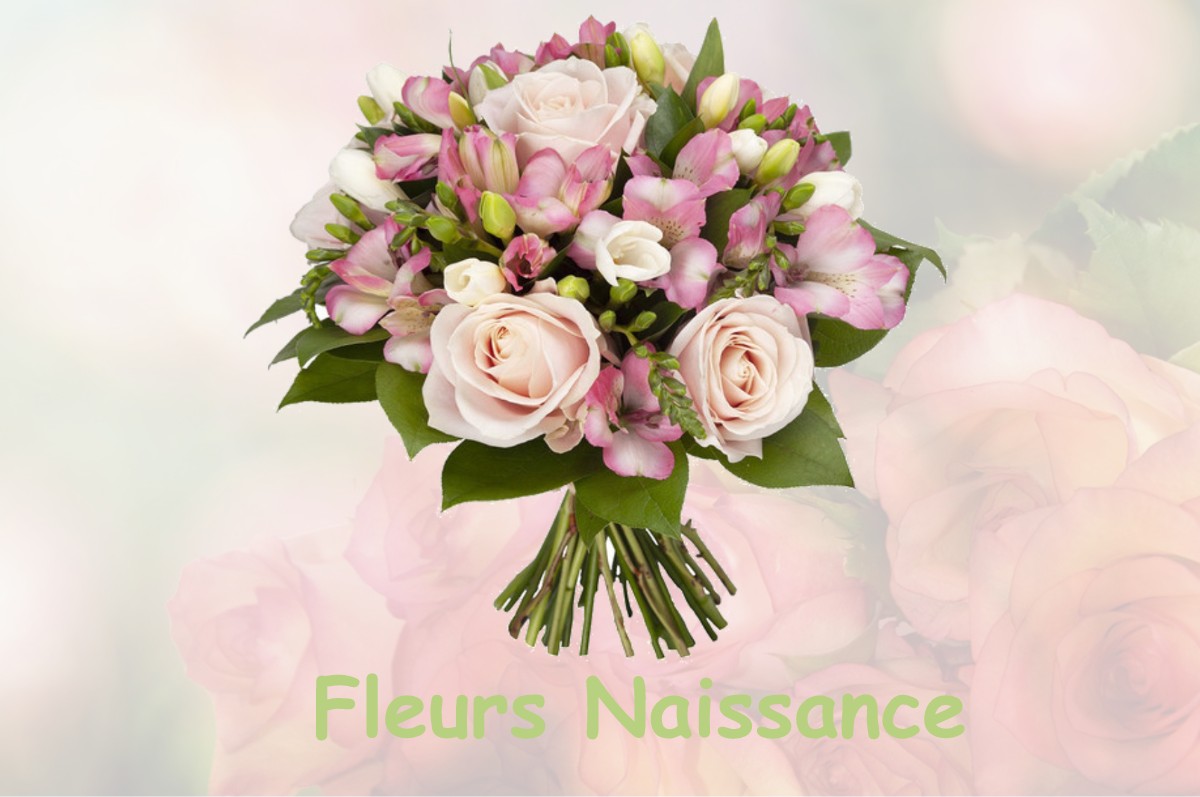 fleurs naissance LE-FAGET