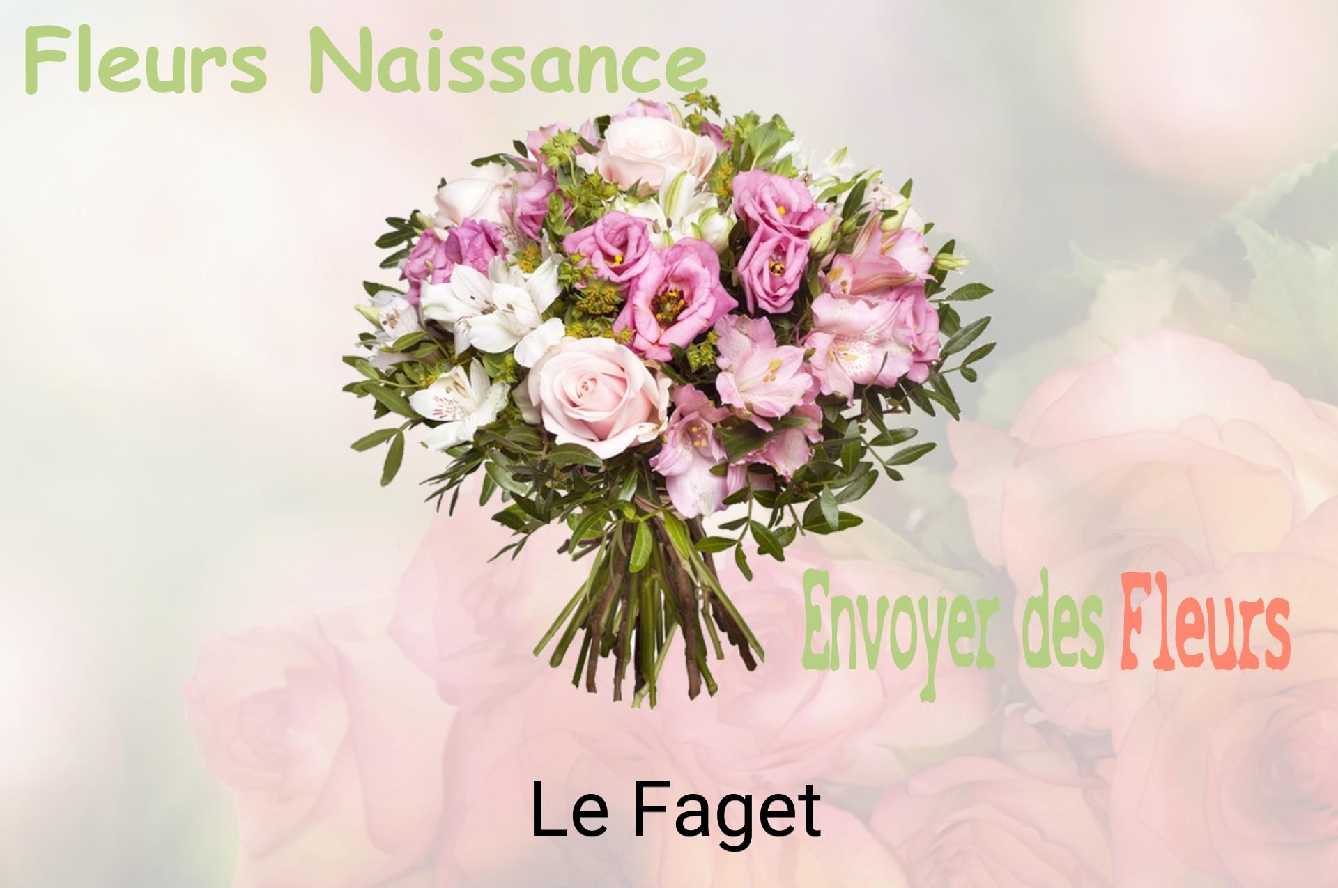 Bouquet de fleurs de naissance livré à Le Faget