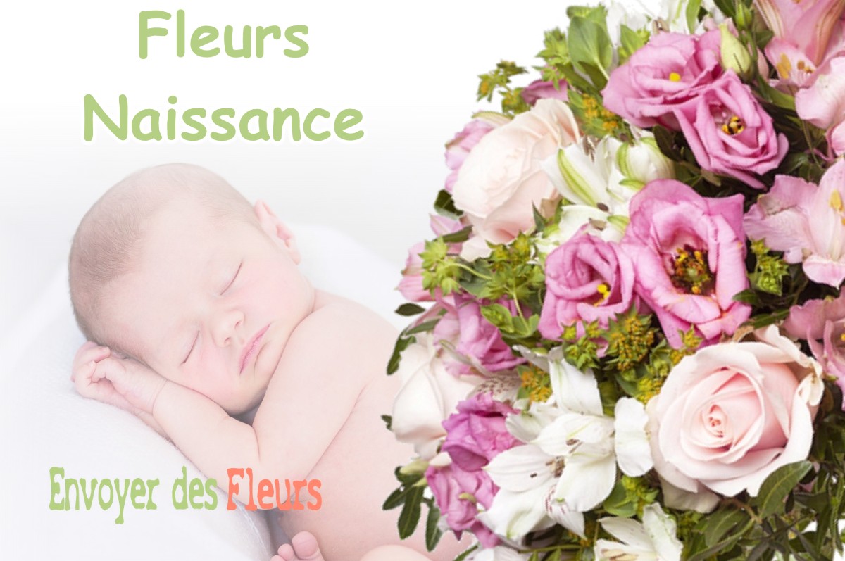 lIVRAISON FLEURS NAISSANCE à LE-FAGET